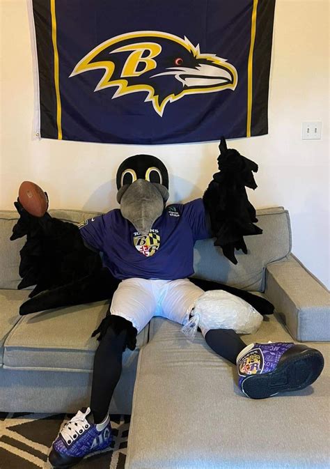 Ravens mascot accident clip